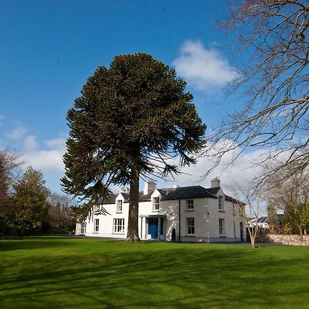 Sandymount House B&B Abbeyleix Exterior photo