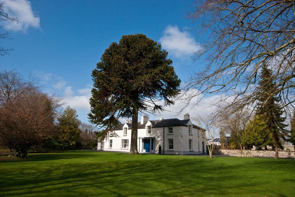 Sandymount House B&B Abbeyleix Exterior photo