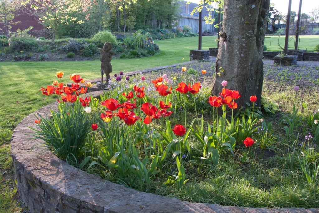 Sandymount House B&B Abbeyleix Exterior photo